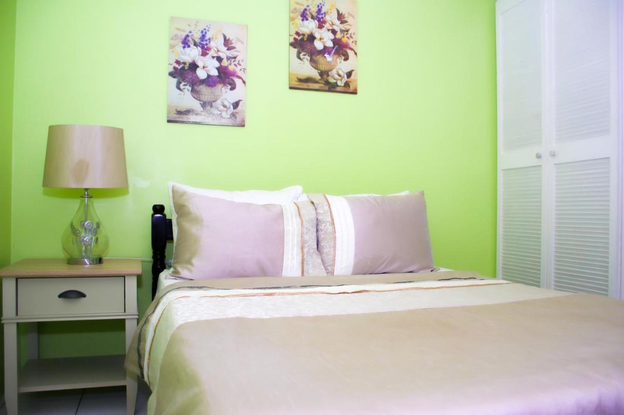 Silver View Apartments St. George's Экстерьер фото